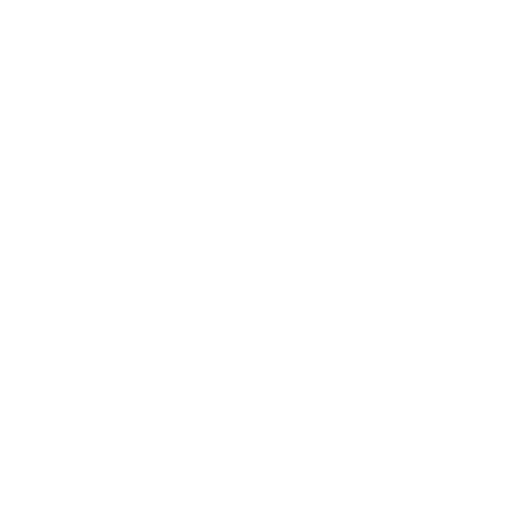 AUTO logo 动画